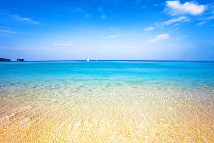 Summer, Sun, Sea, Mallorca: and your new dream property!