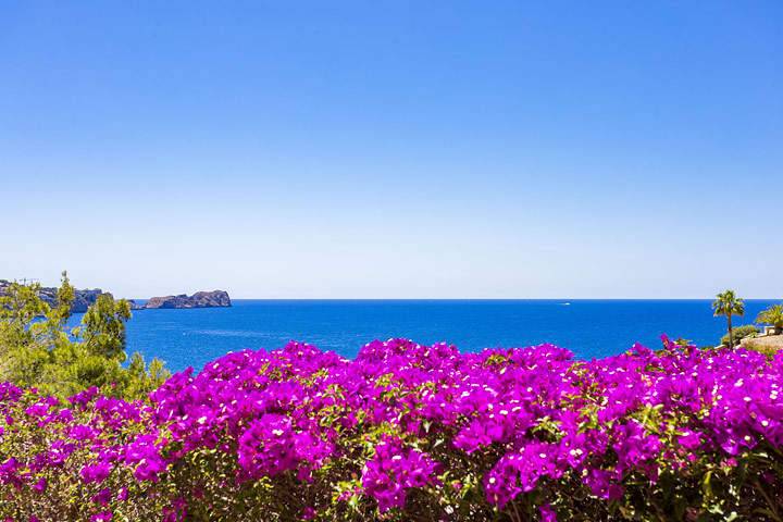 Experience the mild Mediterranean autumn on Mallorca!