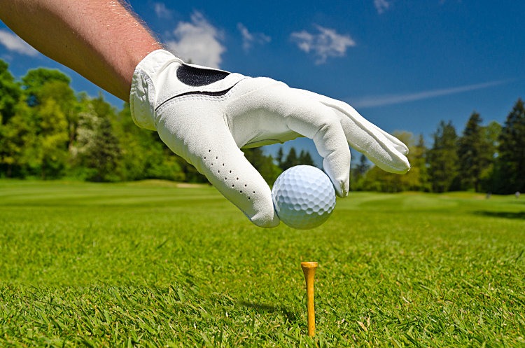 Golf stock