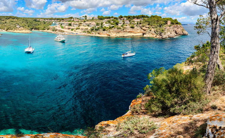 Mallorca is an investment in vitality