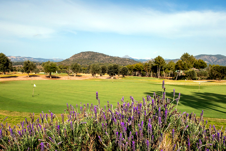A wide range of sporting activities awaits you in Mallorca