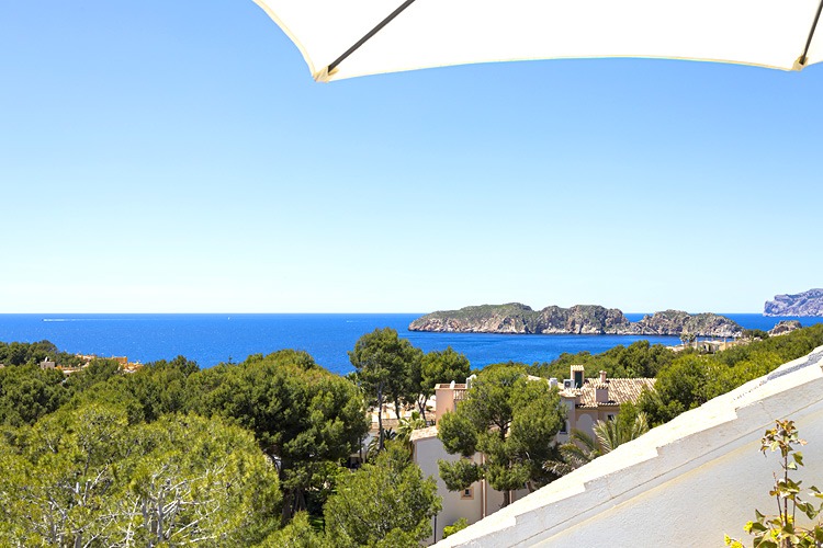 New properties for you in our portfolio