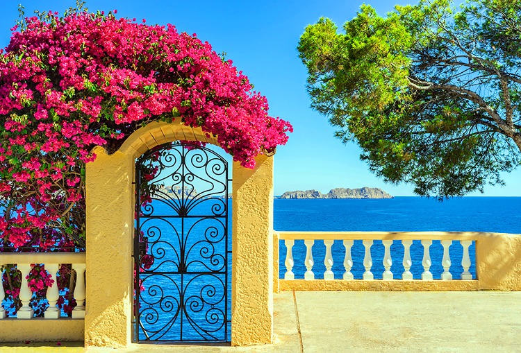 July is a particularly eventful month in Mallorca!