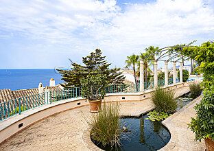 Ref. 1203257 | Estanque de lirios en el área de la piscina comunitaria