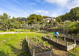 Ref. 2503345 | Finca Mallorca with pool with panoramic views
