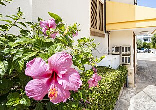 Ref. 1303798 | Attraktives Apartment fußläufig zum Stand