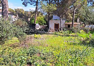 Ref.-Nr.: 4003811 - 