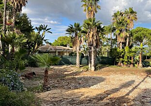 Ref. 4003732 | Tolles Baugrundstück mit Lizenz für Neubauprojekt in Santa Ponsa 