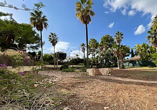 Ref. 4003732 | Tolles Baugrundstück mit Lizenz für Neubauprojekt in Santa Ponsa 