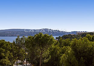 Ref. 1003823 | Encantador estudio con vistas panorámicas y al mar