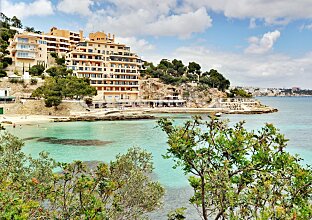 Ref. 149902 | Majorca frontline apartment on the beach 