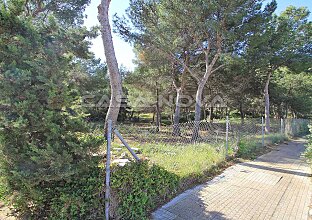 Ref. 4002269 | Big commercial plot for a construction for public use