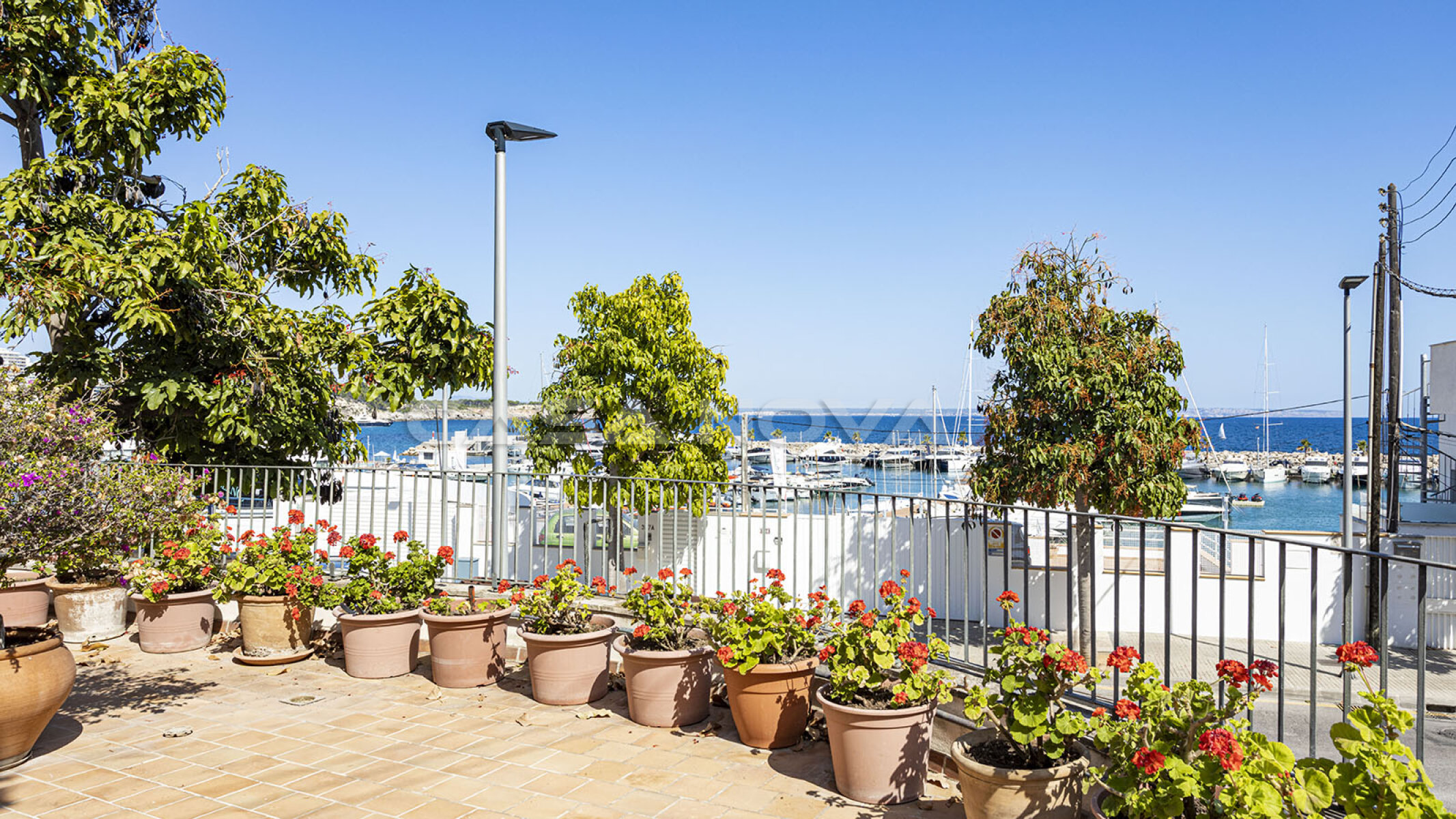 Terraza mediterr�nea con vista al puerto deportivo