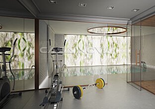 Ref. 2302827 | Top equipped fitness room