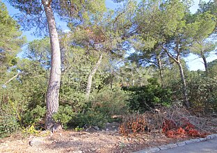 Ref. 4002848 | Fully developed building plot in great location