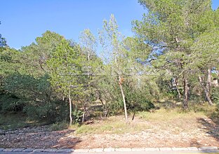 Ref. 4002857 | Great plot with building license and project