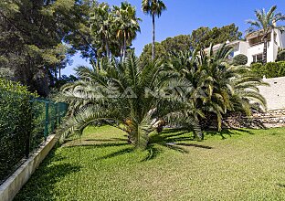 Ref. 2503255 | Großer Garten mit Palmen