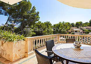 Ref. 2403269 | Überdachte Terrasse mit viel Privatsphäre