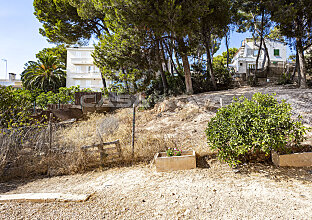 Ref. 2503272 | Villa mediterránea en Mallorca con mucho potencial