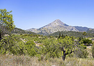 Ref. 2403299 | Panoramic view of the Tramuntana Mountains