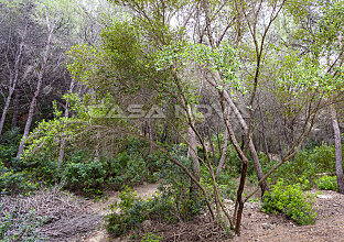 Ref. 2303441 | Landhaus umgeben von Natur in ruhiger Wohngegend 
