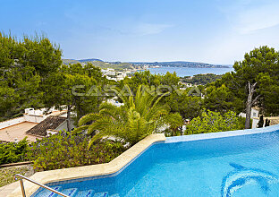 Ref. 2403455 | Sensational view