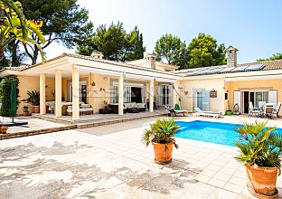Exclusive villa and guest house with spacious outdoor area