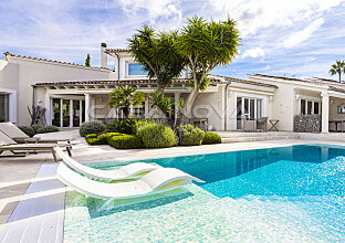 Charming luxury villa with guest appartment