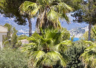 Ref. 2303731 | Villa im mediterranen Stil  mit Ausbau- und Modernisierungspotenzial 