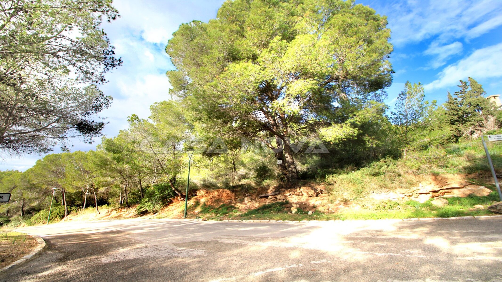Grundstück in erhöhter Südlage von Cala Vinyes 