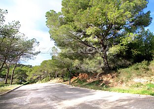 Ref. 4003776 | Grundstück in erhöhter Südlage von Cala Vinyes 