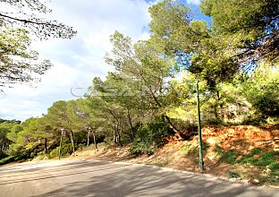 Ref. 4003776 | Grundstück in erhöhter Südlage von Cala Vinyes 