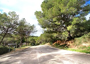 Ref. 4003776 | Grundstück in erhöhter Südlage von Cala Vinyes 